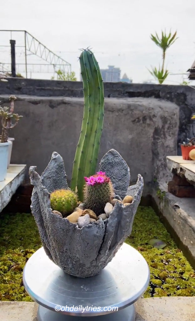How to Make DIY Cement Succulent Planter With Old Towel