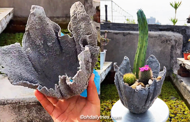 How to Make DIY Cement Succulent Planter With Old Towel