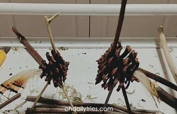 How To Make A Pine Cone Ostrich Craft