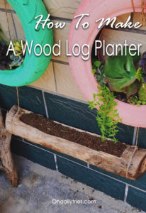 How To Make A Hollow Log Planter for Succulents