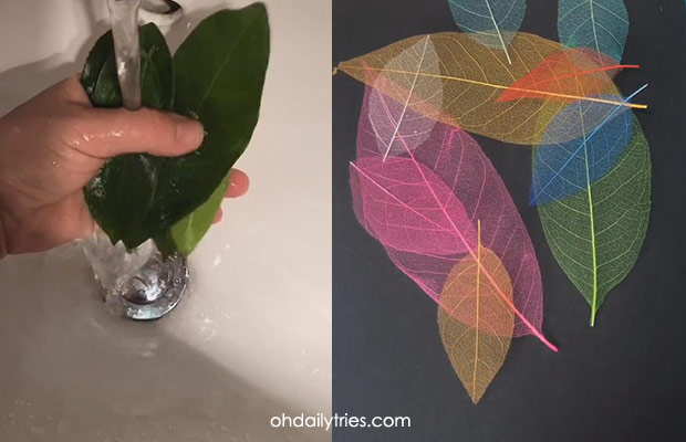 how-to-dye-natural-leaves-for-crafts