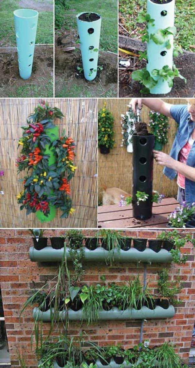 29 Ingenious Ideas For Budget Gardening