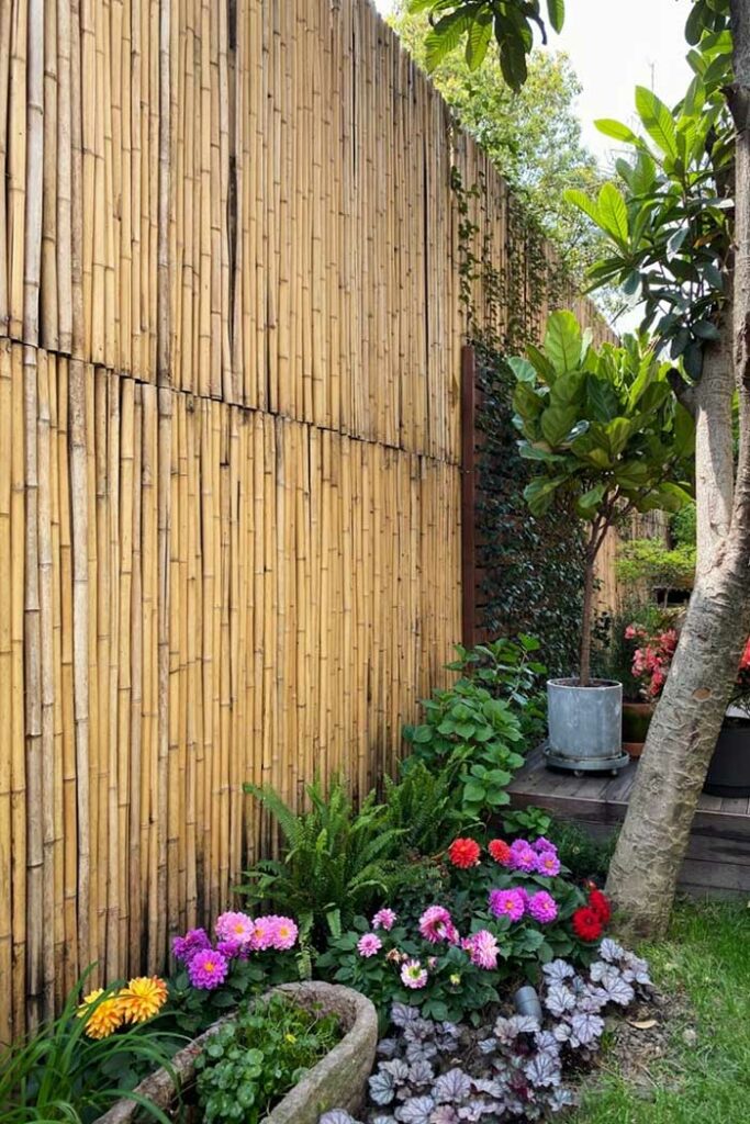 10 Fantastic Yard Ideas to Use With Bamboo Trees