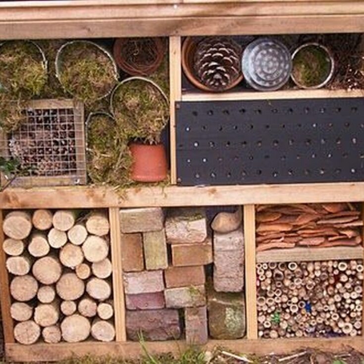 Bug Hotel Plans DIY | How to Make a Home for Garden Beneficial Insects