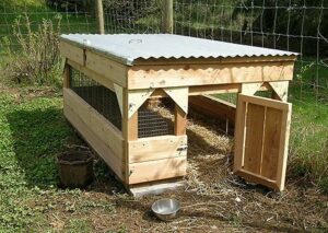 34 Free & Easy-to-Build DIY Duck House Plans