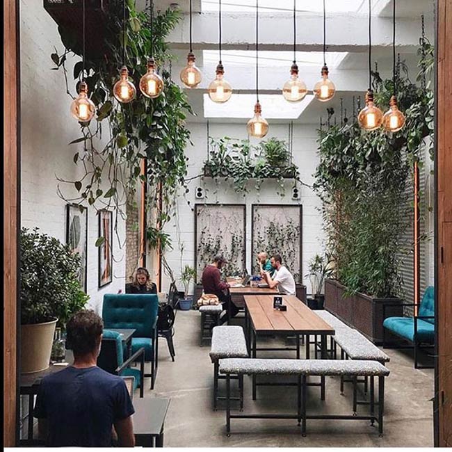 This place looks just like a greenhouse! Long green vines hang down from the open skylight above the communal wooden tables. It creates a relaxing garden atmosphere right inside the cafe.
