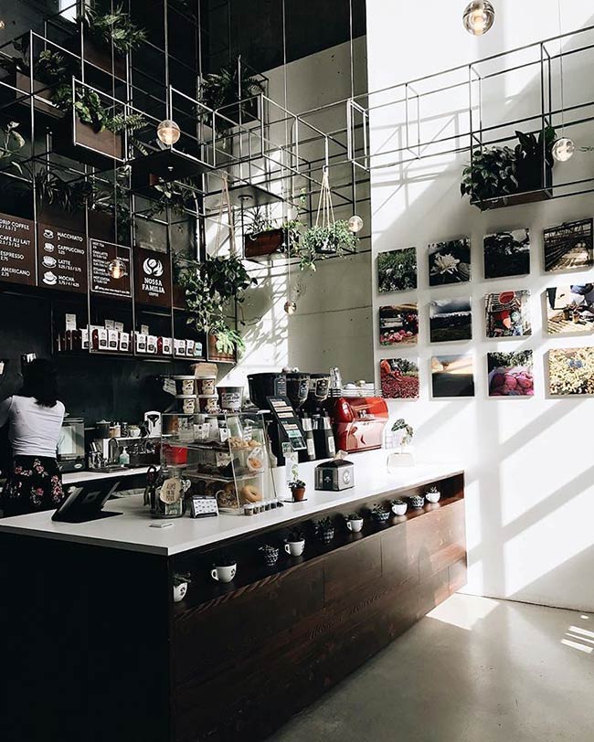 Raw concrete walls contrast with the dark wood bar. A black metal grid structure is suspended from the ceiling, acting as a trellis for numerous hanging plants. This feature adds natural texture to the industrial design.