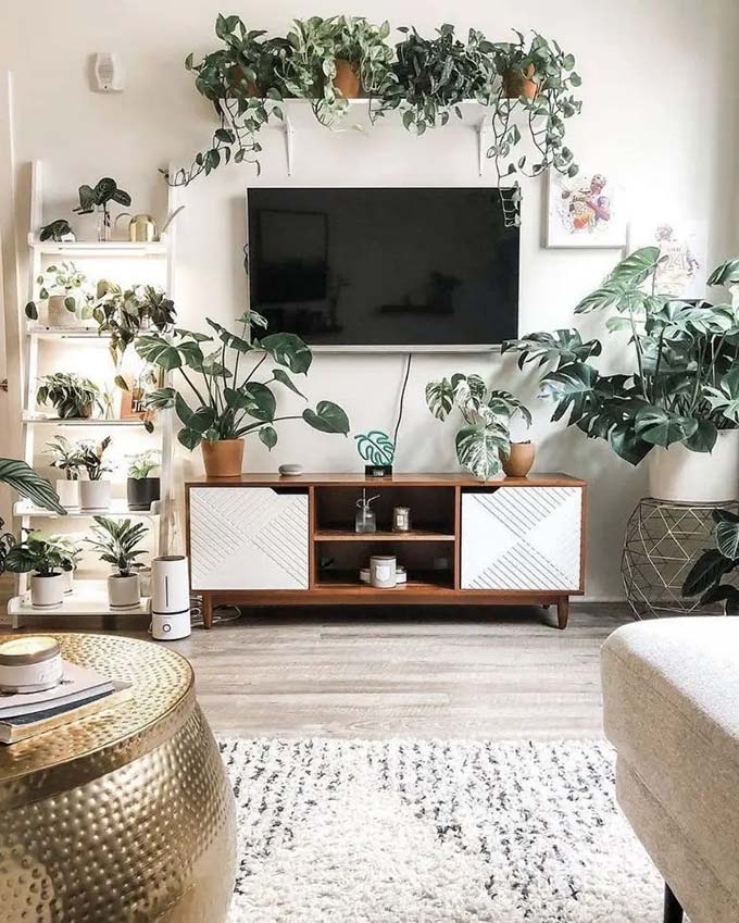 A white shelf placed high above the TV holds pots of long, trailing vines that frame the screen. The white ladder shelf nearby adds even more space for greenery. It creates a fresh and airy TV wall decor style that feels like a bright indoor garden.