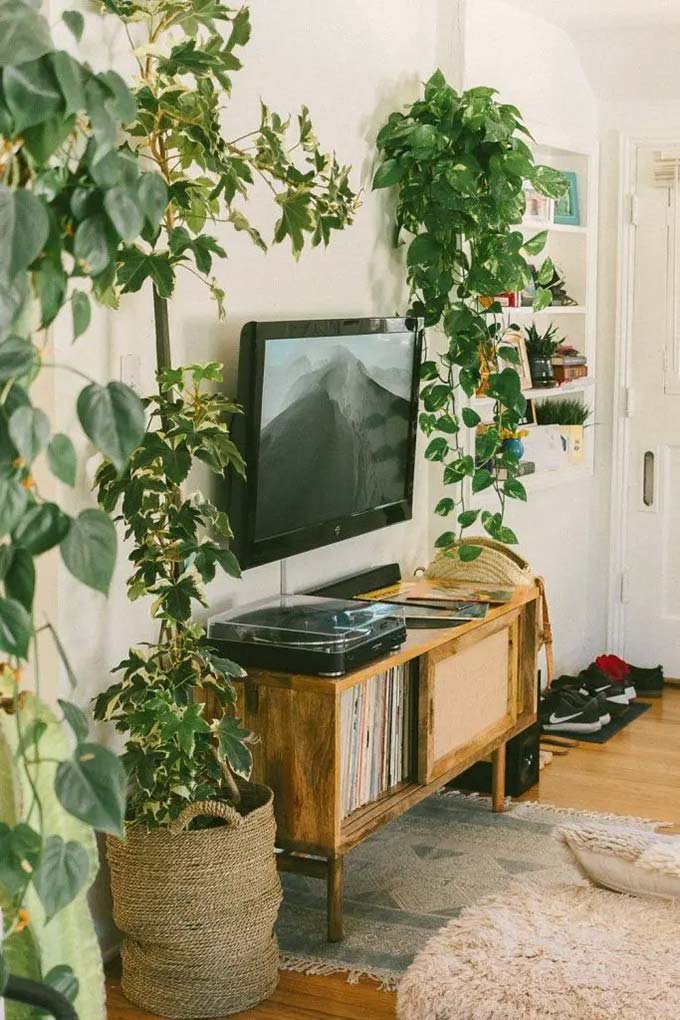 Two tall plants frame the television to create a natural green border. The rustic wooden cabinet holds vinyl records and adds a vintage touch to the small corner. This cozy TV wall decor style mixes music and nature beautifully.